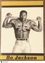 1990 Promo Card - RARE Bo Jackson