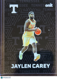 2025 ONIT Tennessee Basketball Jaylen Carey #F-12