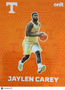 2025 ONIT Tennessee Basketball Jaylen Carey #F-5