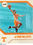 2025 ONIT Tennessee Basketball Ja'Kobi Gillespie #B-12
