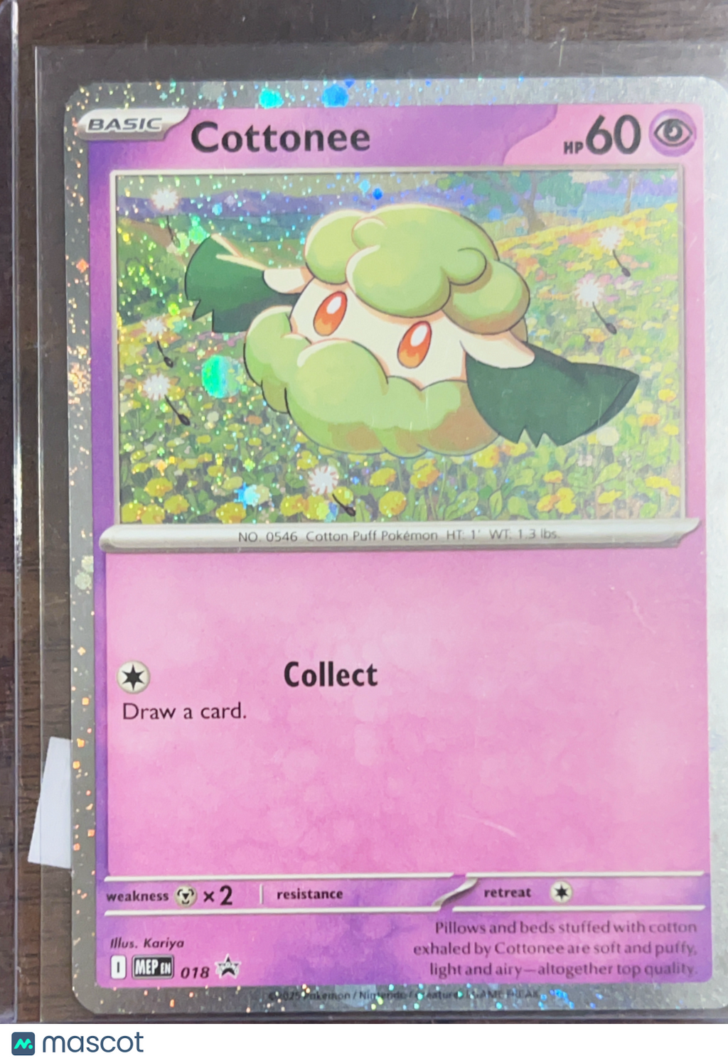 2025 Journey Together Cottonee Holo Rare #018