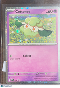 2025 Journey Together Cottonee Holo Rare #018