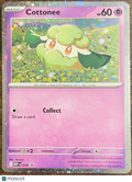 2025 Journey Together Cottonee Holo Black Star Promo #018
