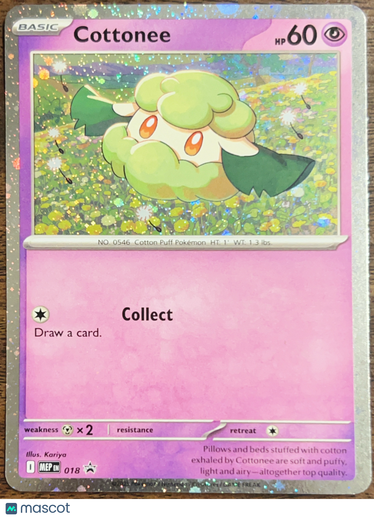 2025 Journey Together Cottonee Holo Black Star Promo #018