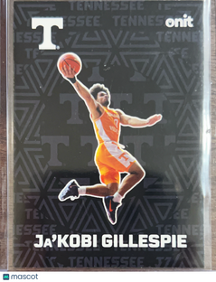 2025 ONIT Tennessee Basketball Ja'Kobi Gillespie #F-8
