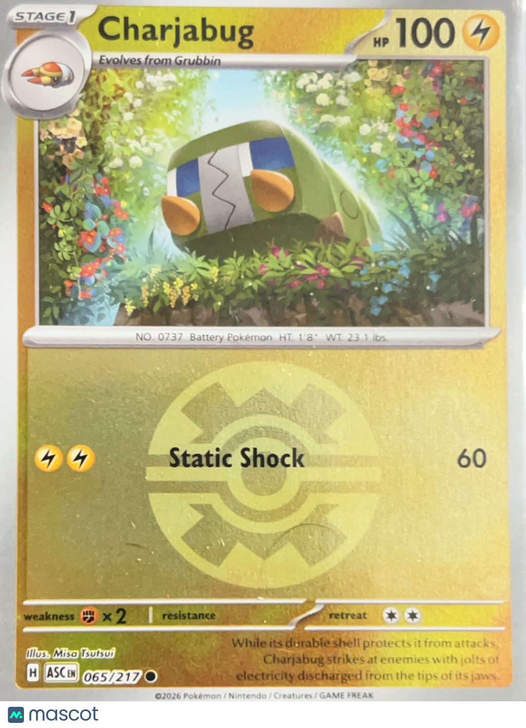 2026 Mega Evolution – Ascended Heroes Charjabug Reverse Holo Pokeball #65/217