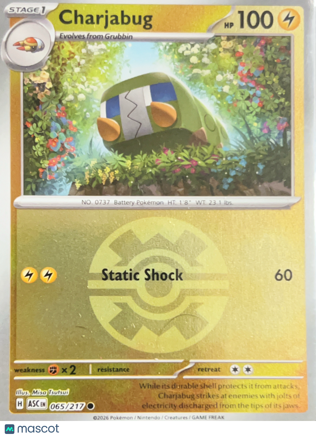 2026 Mega Evolution – Ascended Heroes Charjabug Reverse Holo Pokeball #65/217