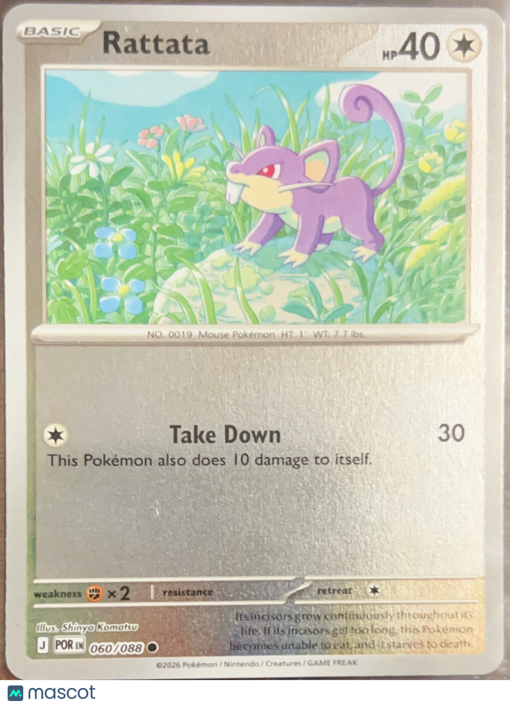 2026 Journey Together Rattata #60/88