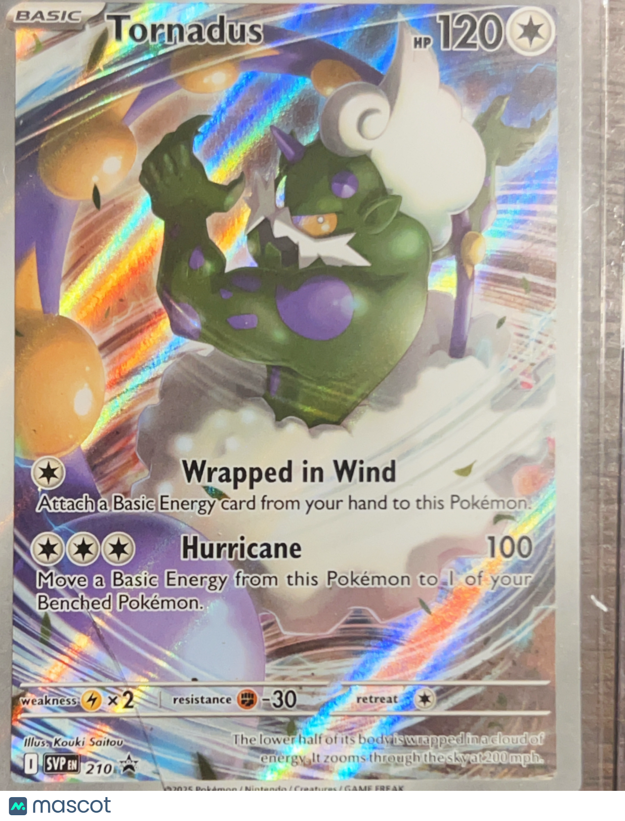 2025 Scarlet & Violet Promo Tornadus Holo Black Star Promo #SVP EN 210