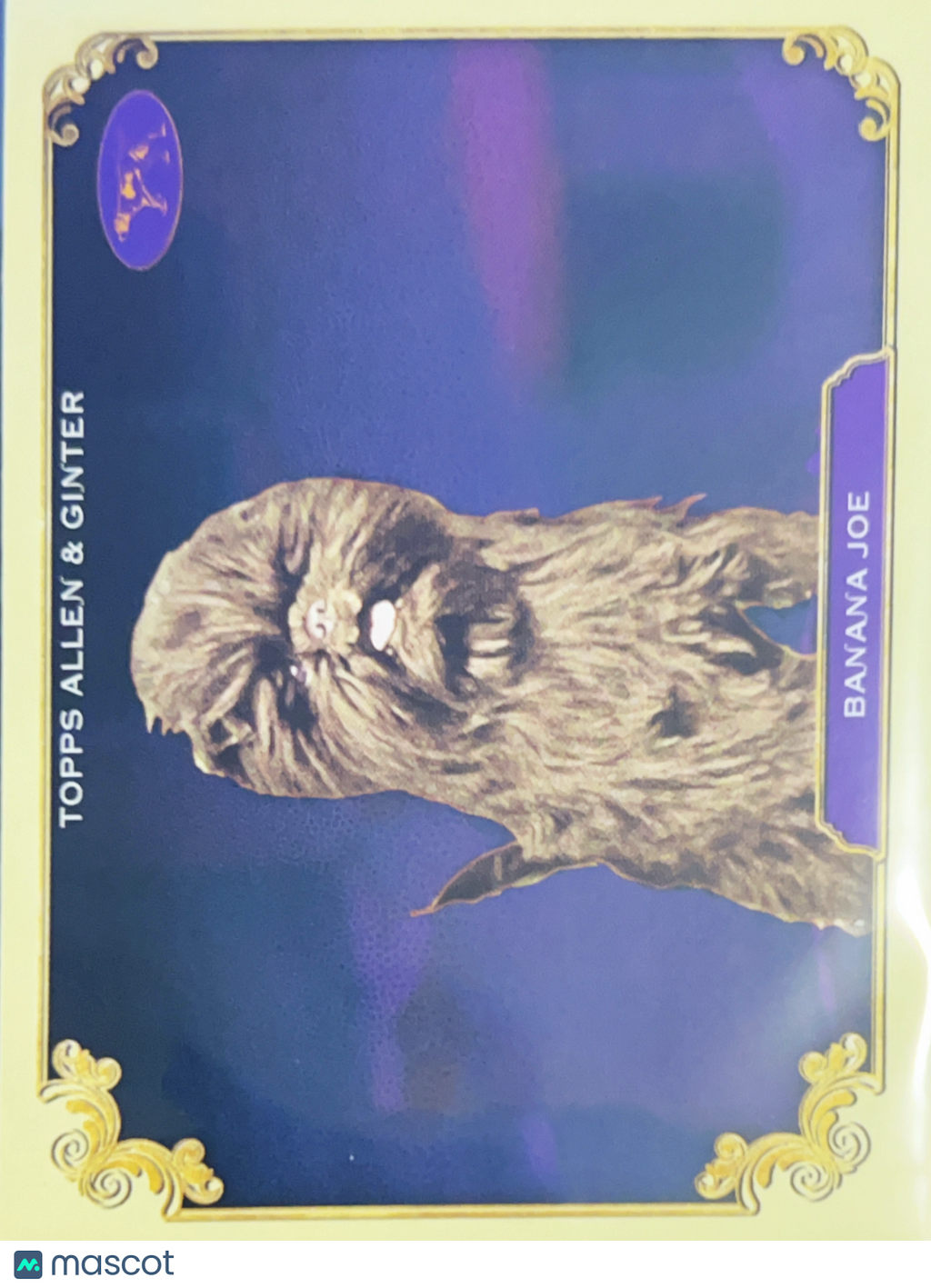 2024 Allen & Ginter 2013 Westminster Kennel Club Best In Show Winner #SOS-40