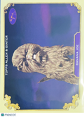2024 Allen & Ginter 2013 Westminster Kennel Club Best In Show Winner #SOS-40
