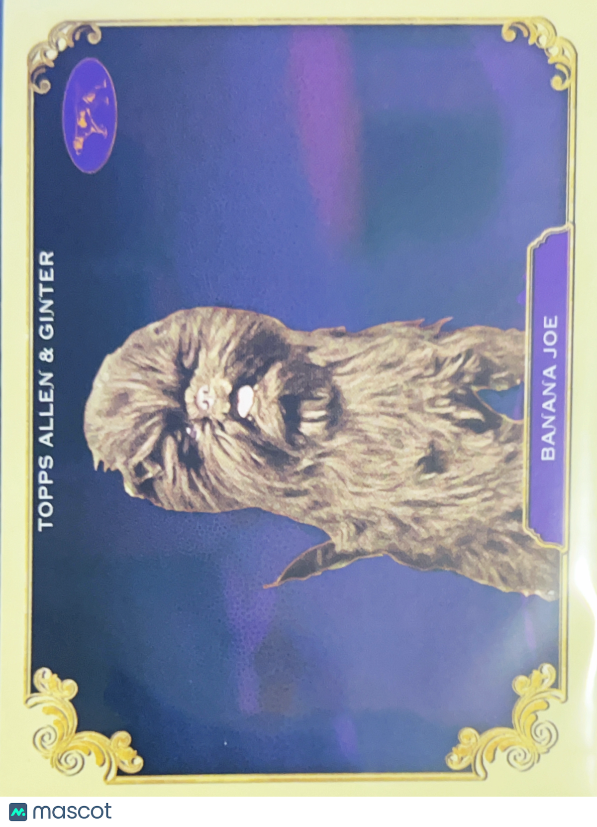 2024 Allen & Ginter 2013 Westminster Kennel Club Best In Show Winner #SOS-40
