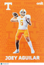 2025 ONIT Tennessee Football Joey Aguilar #F-1
