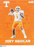 2025 ONIT Tennessee Football Joey Aguilar #F-1