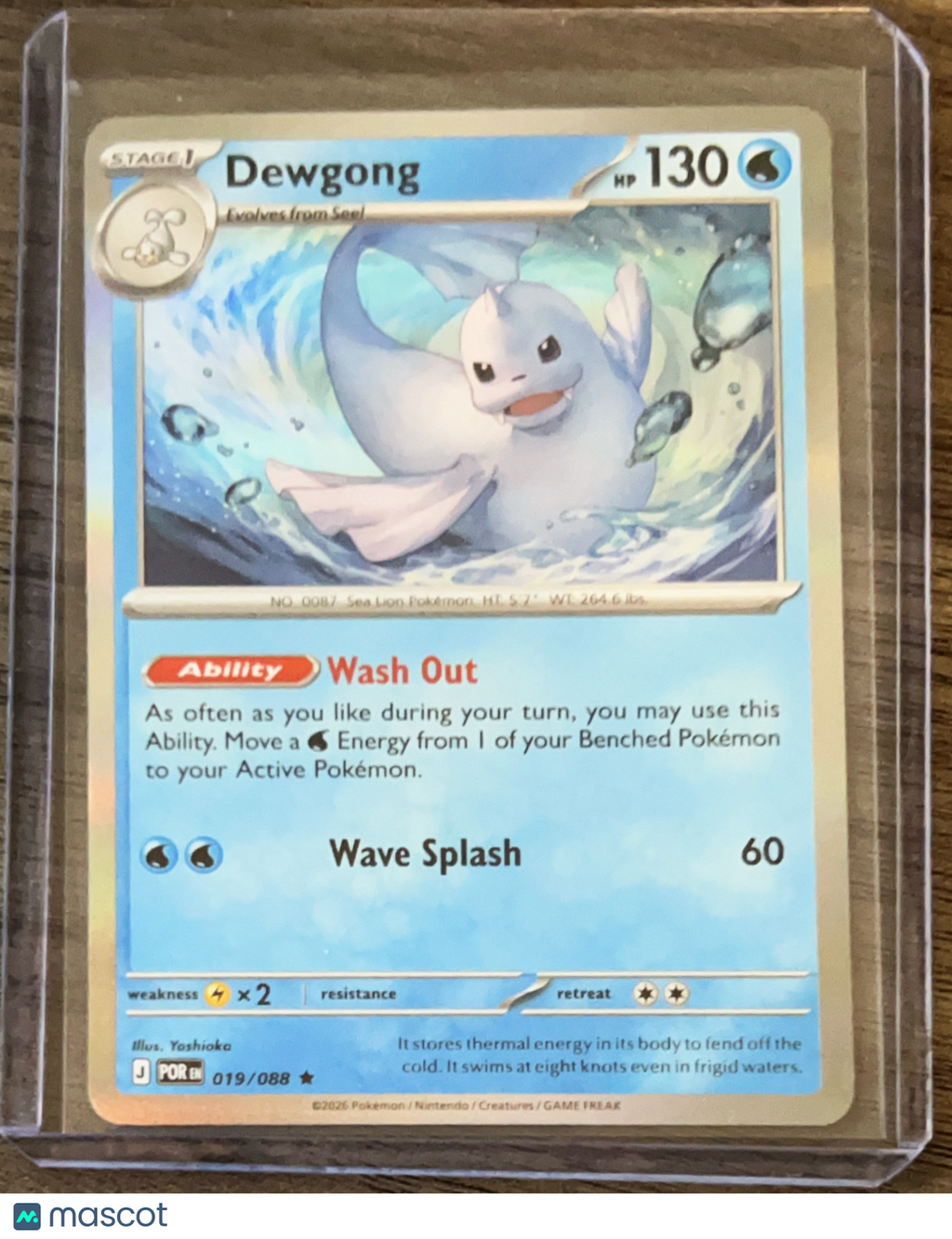 2026 Mega evolution Perfect Order Dewgong Holo Rare #19/88