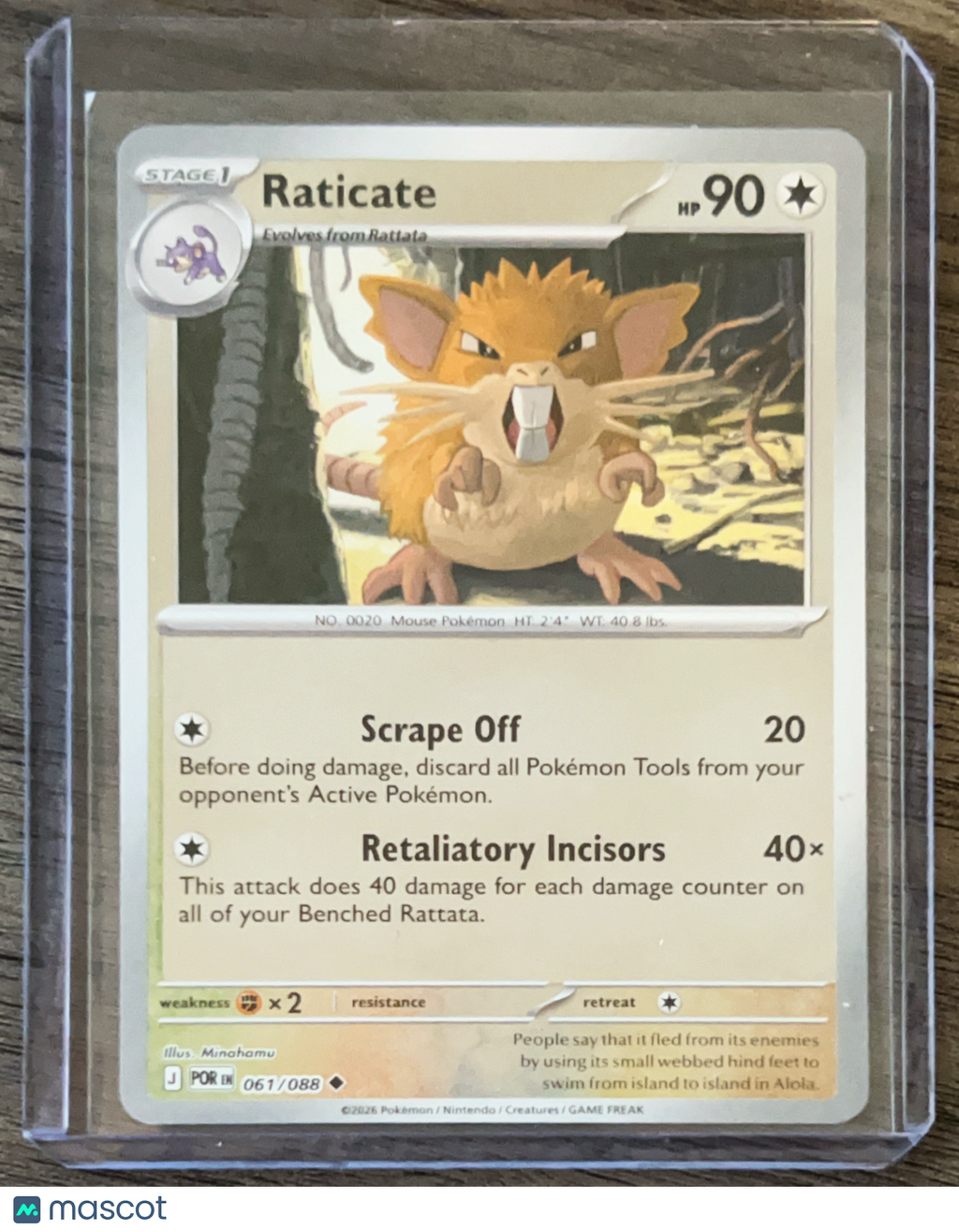2025 Journey Together Raticate Uncommon #61/88