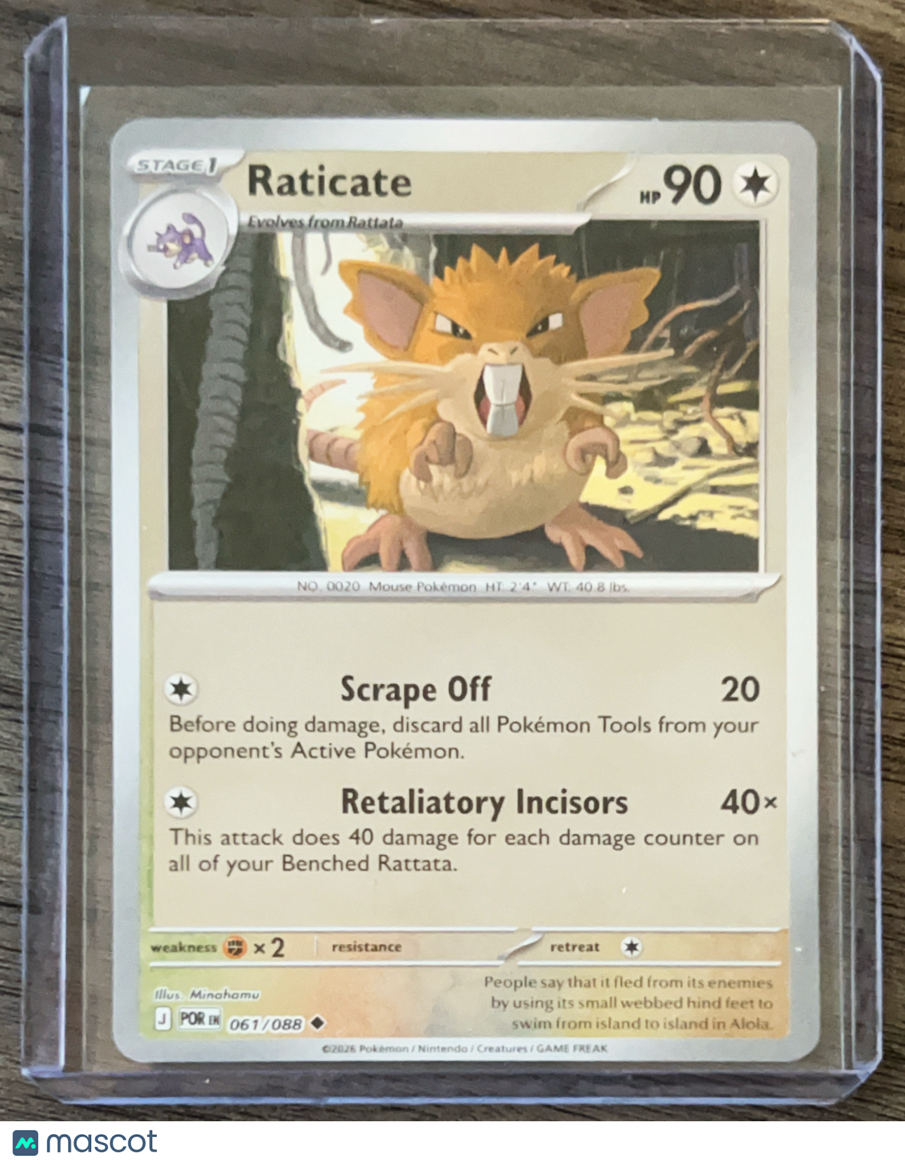 2025 Journey Together Raticate Uncommon #61/88