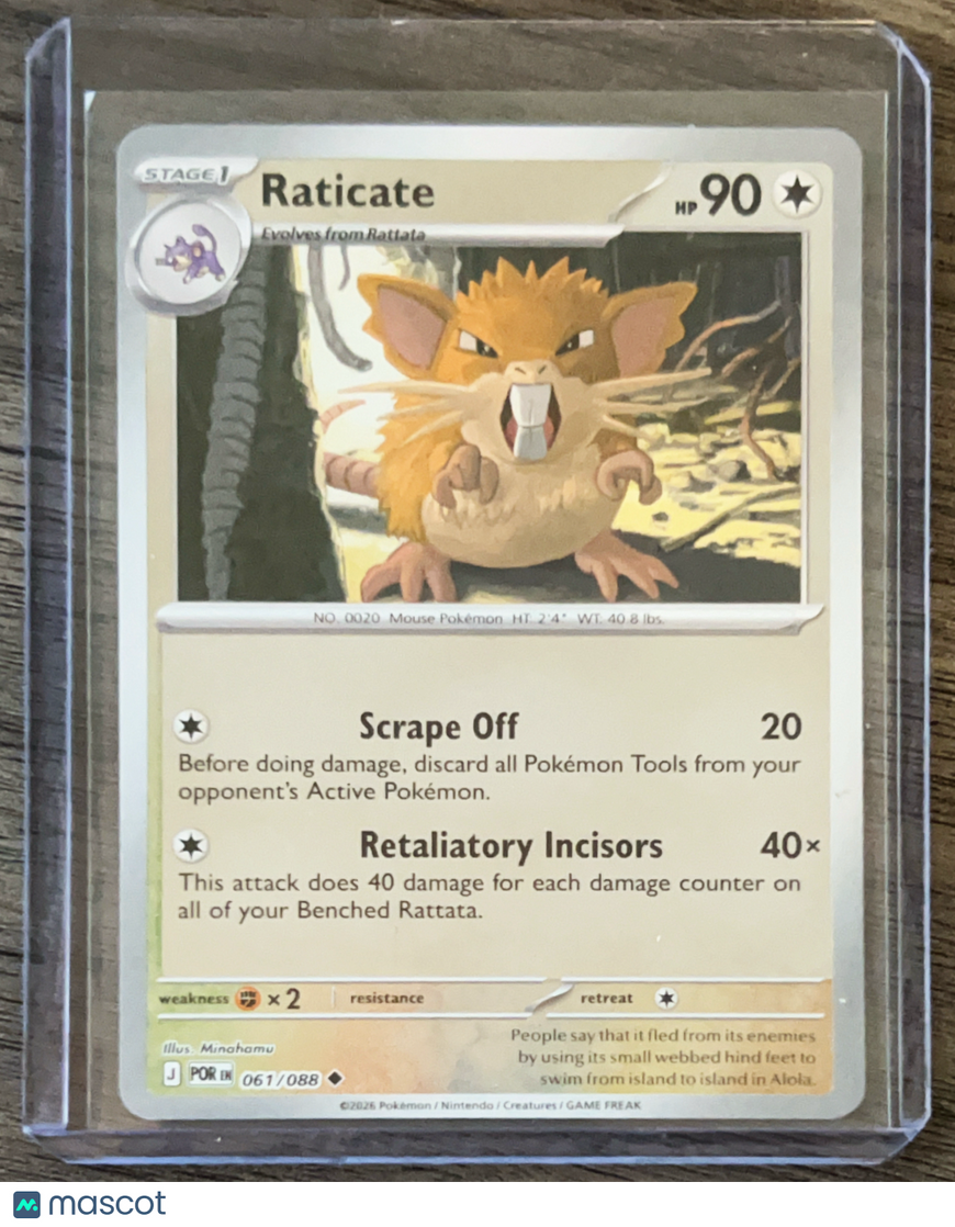 2025 Journey Together Raticate Uncommon #61/88