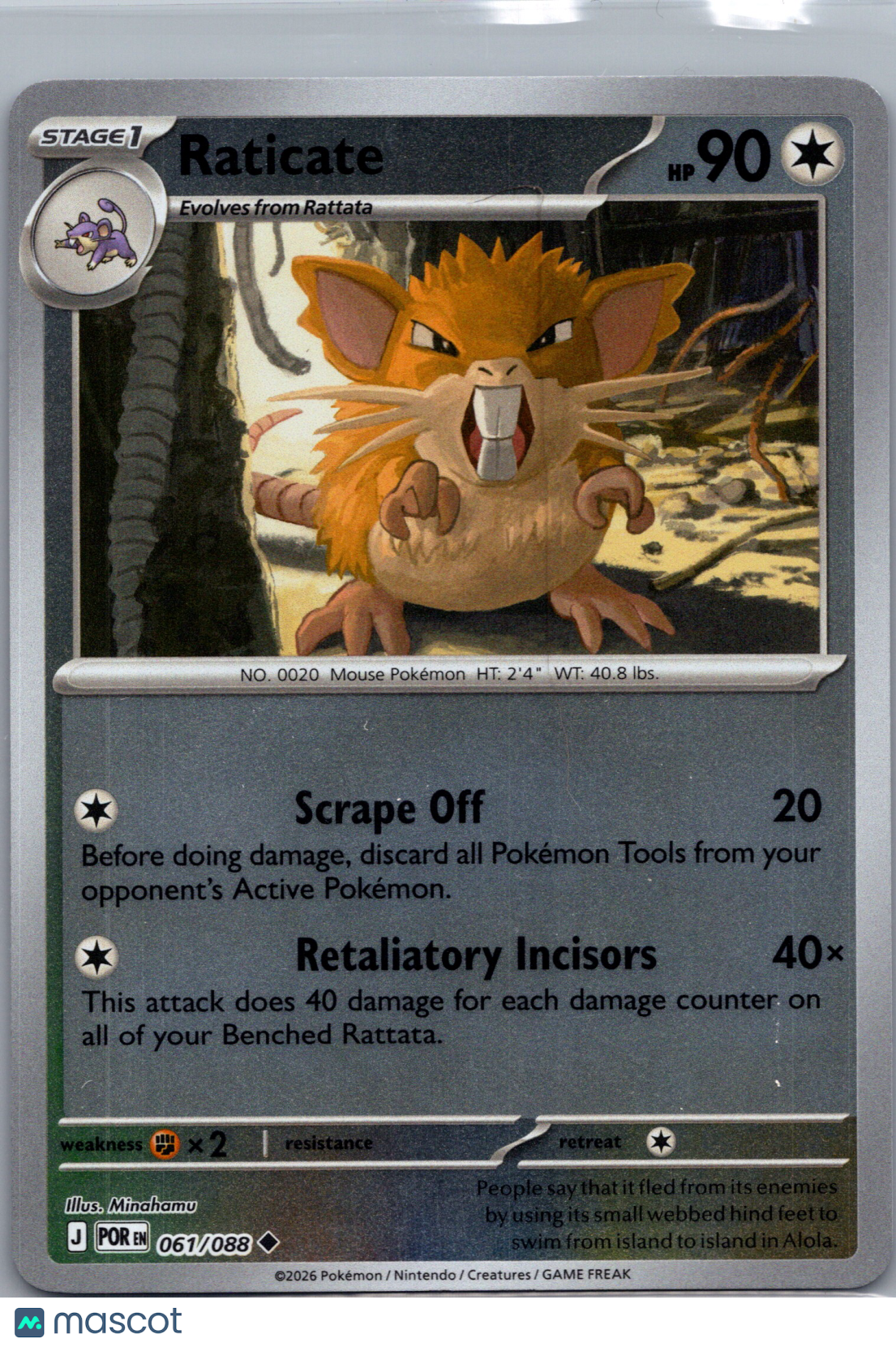 2026 Mega Evolution – Perfect Order Raticate Uncommon #61/88