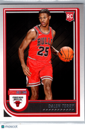 2022 Panini Hoops Dalen Terry #248 RC