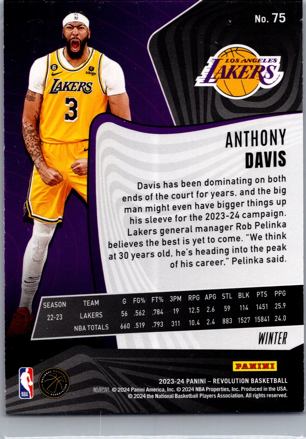 2024 Panini Revolution Winter Anthony Davis #75