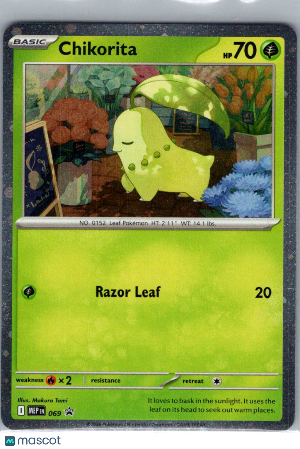 Mega Evolution Chikorita Cosmic Holo Black Star Promo #069