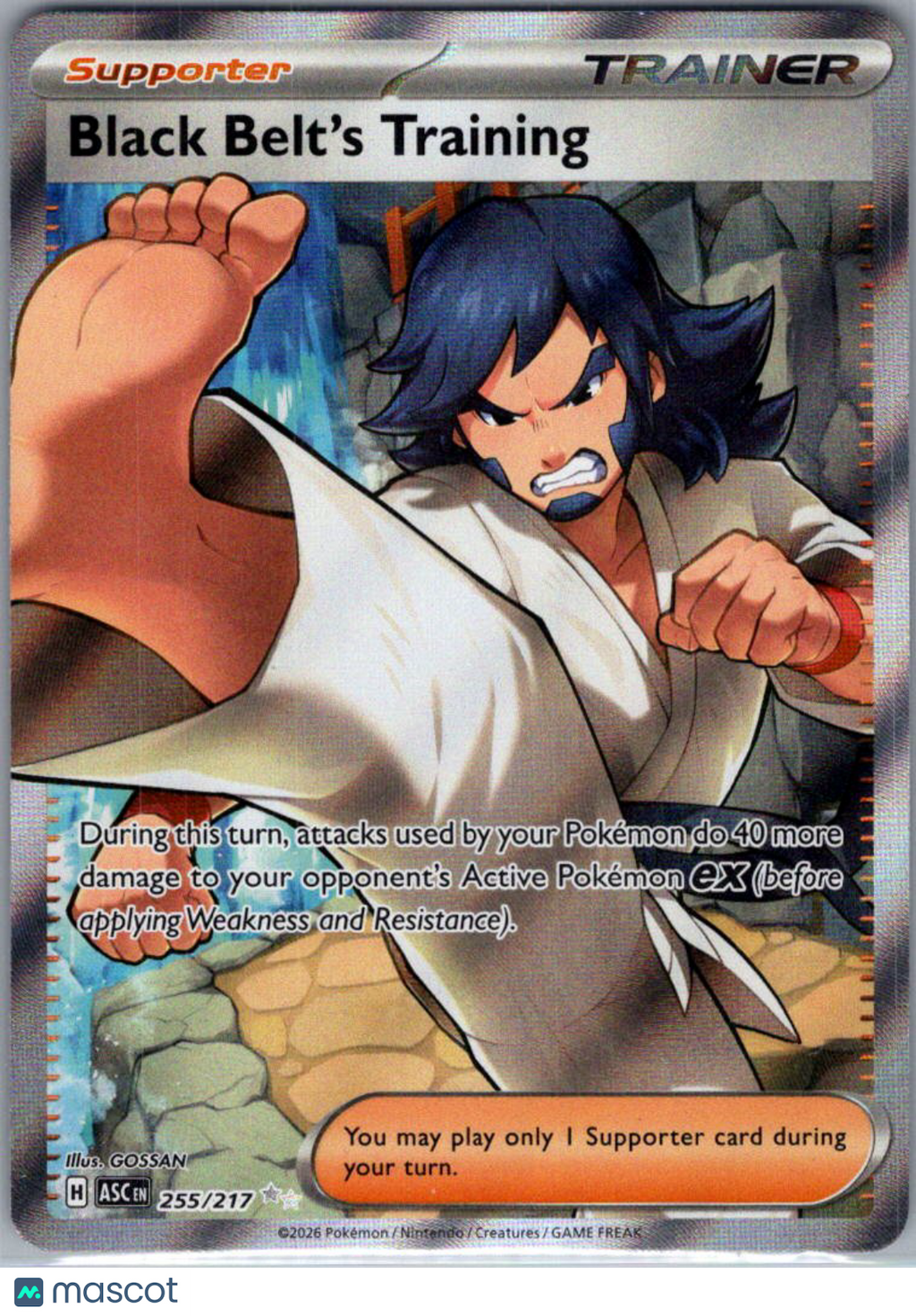 2026 Ascended Heroes Black Belt's Training Holo Secret Rare FA #255/217