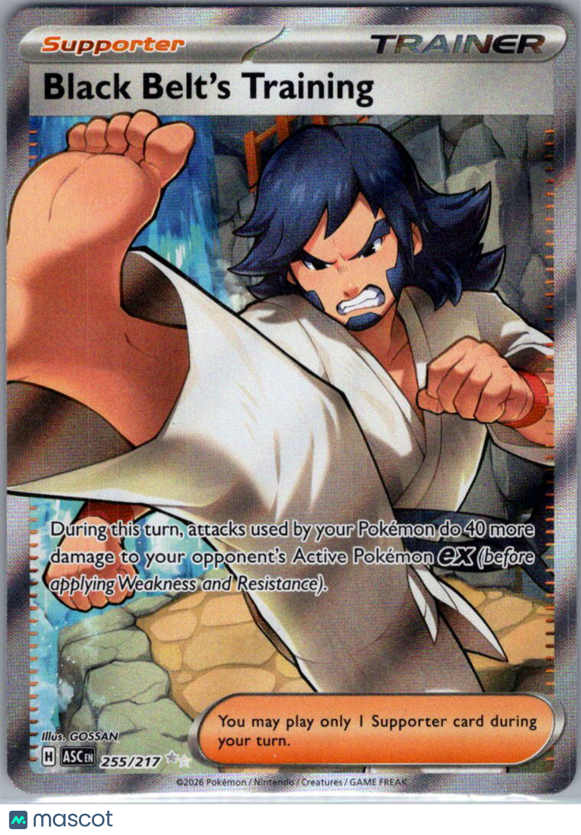 2026 Ascended Heroes Black Belt's Training Holo Secret Rare FA #255/217