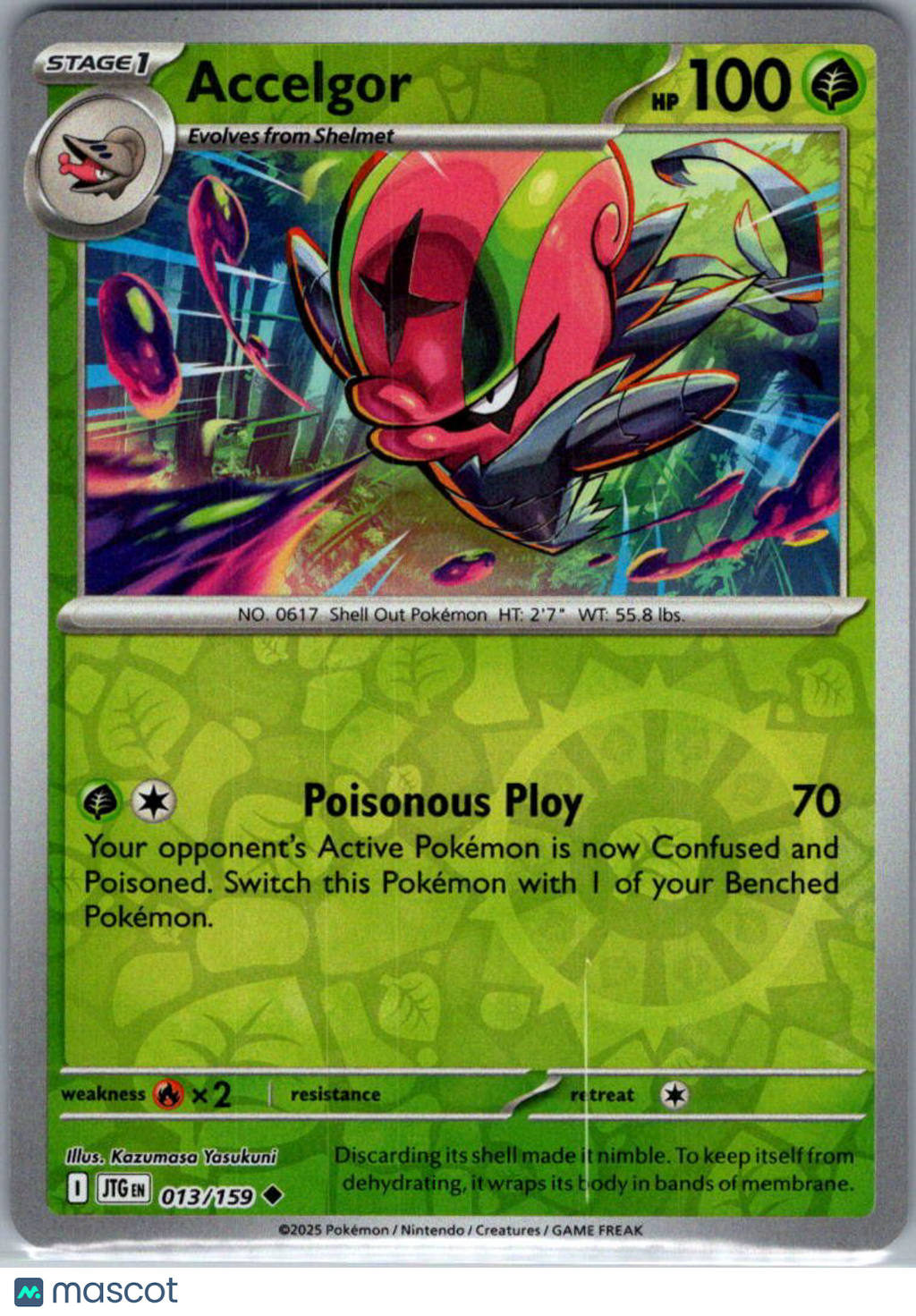 2025 Journey Together Accelgor Reverse Holo Uncommon #13/159