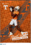 2024 ONIT Athlete Tennessee Volunteers Squirrel White #ST-2